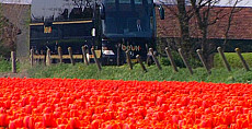 Met Beuk langs de Bollen