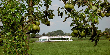 Koninklijke Beuk, Travel, Groepsreis - Betuwe