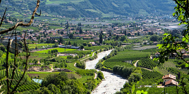 Koninkijke Beuk, Travel, Incentive, Groepsreis - Meerdaagse wijnreis Alto Adige