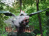 Koninklijke Beuk, Schoolreisje, Efteling, Sprookjes draak