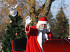 Kerstdagtocht Düsseldorf, Koninklijke Beuk