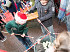 Kerstdagtocht Dordrecht, Koninklijke Beuk