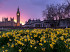 Koninklijke Beuk, Travel, Incentive - Meerdaagse koorreis Londen