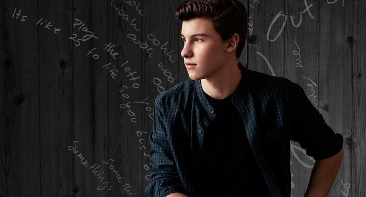 Koninklijke Beuk, Concert vervoer - Shawn Mendes