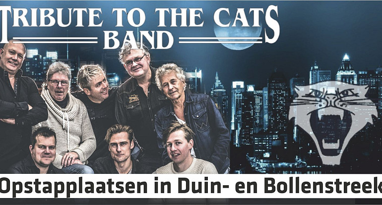 Tribute to the Cats Band