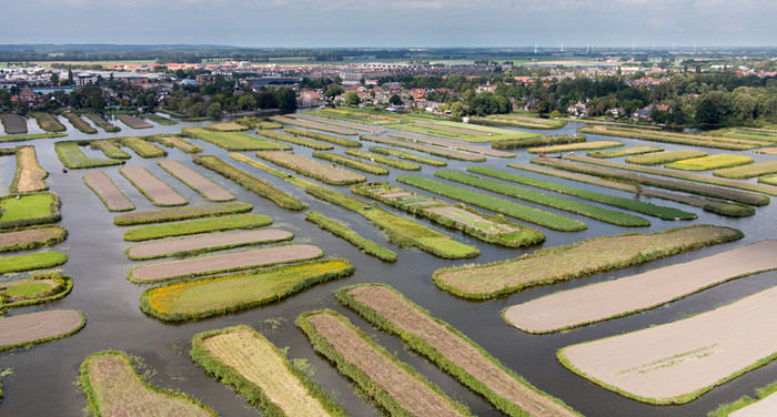 Luiheid mengsel Voorafgaan Groepsreizen | Broeker veiling | Koninklijke Beuk