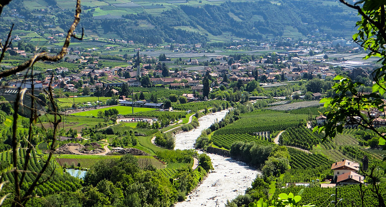 Koninkijke Beuk, Travel, Incentive, Groepsreis - Meerdaagse wijnreis Alto Adige