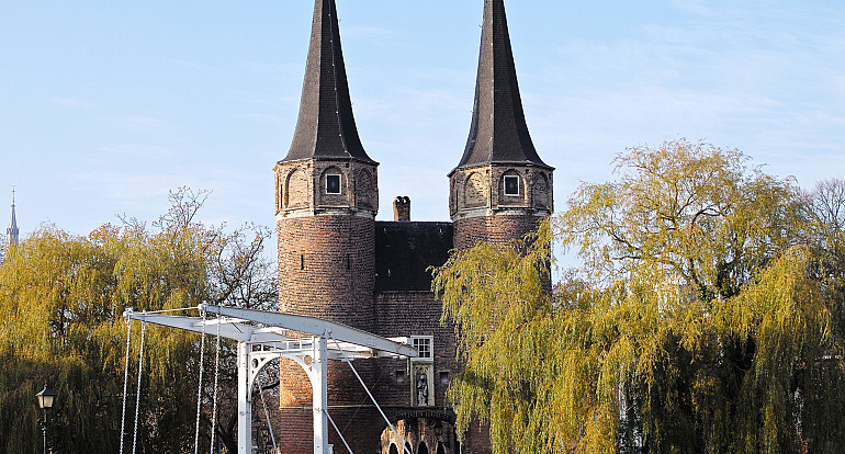 Royal cities, Delft and The Hague