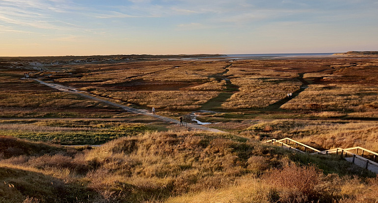 Juttersverhalen op Texel