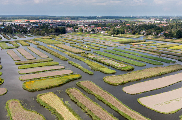 Koninklijke Beuk, Travel, Groepsreis - Broeker Veiling
