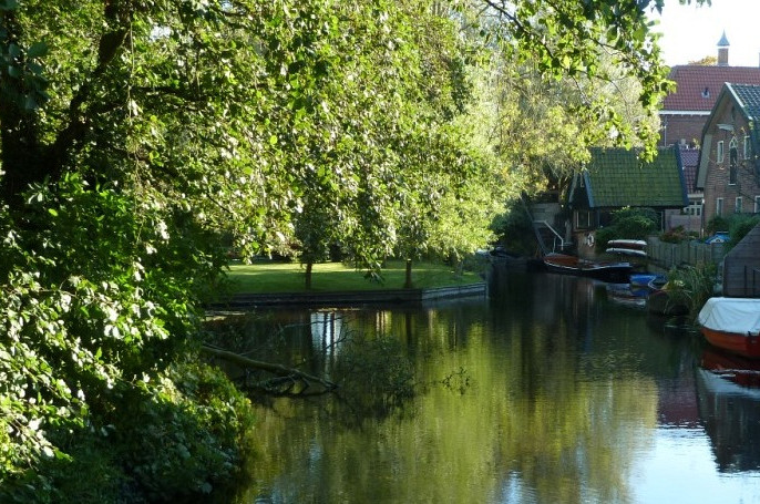 Koninklijke Beuk, Travel, Groepsreis - Broeker Veiling