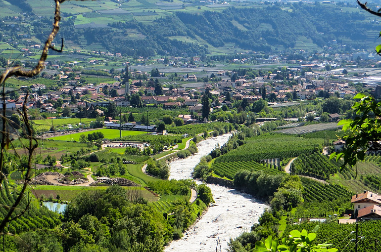 Koninkijke Beuk, Travel, Incentive, Groepsreis - Meerdaagse wijnreis Alto Adige