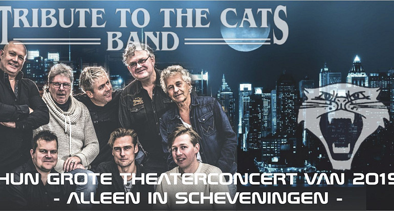 Tribute to the Cats Band