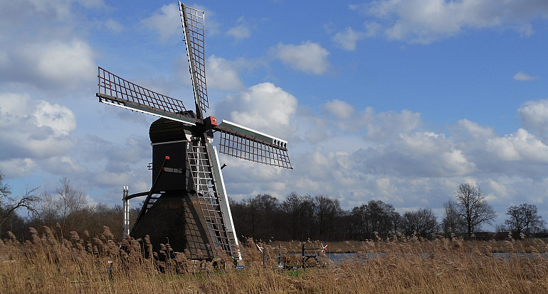 Koninklijke Beuk, Dagtochten - Blokzijl en Nationaal Park de Weerribben