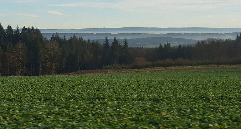 Koninklijke Beuk, Dagtochten, Meerdaagse reis - Wallonie, Ardennen